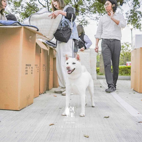 毛孩墊 埔心四維 公益