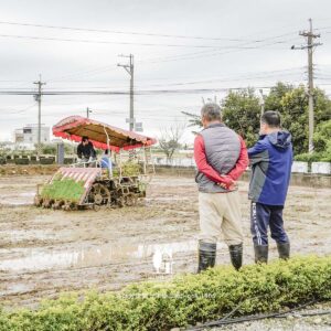 火龍果 工廠稻田 楊梅農業區