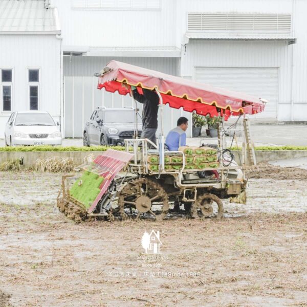 火龍果 工廠稻田 楊梅農業區