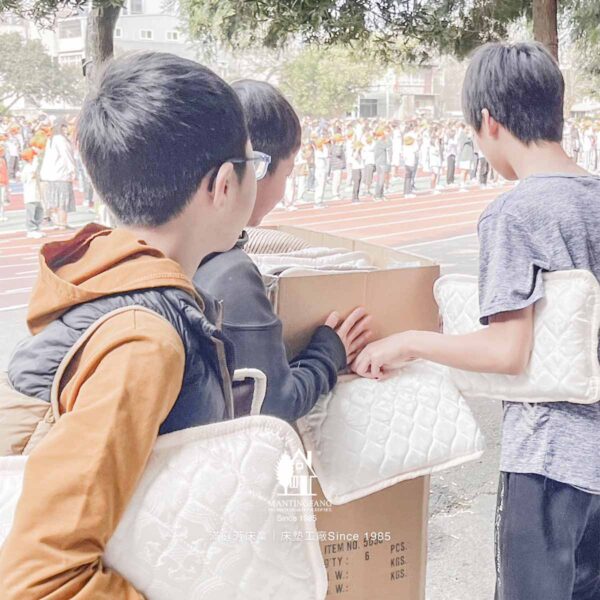 午安枕 楊梅國小 校友
