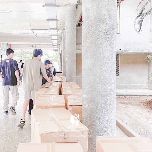 午安枕 楊梅國小 校友