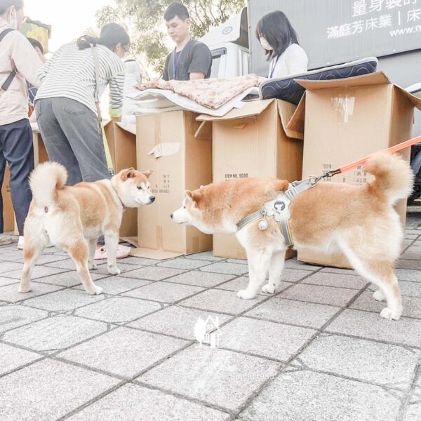毛孩墊 柴柴 公益捐款