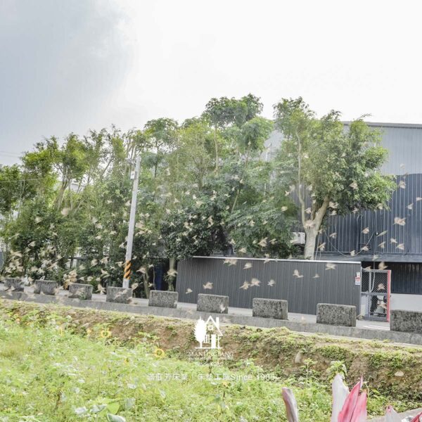 小螳螂 床墊工廠 麻雀