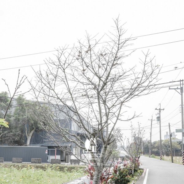 小螳螂 床墊工廠 麻雀
