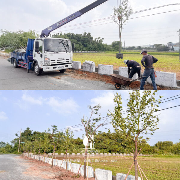 老樹搬家,新樹登場|滿庭芳以永續綠化行動守護土地 1 2合1照片 1200x1200 老樹搬家,新樹登場|滿庭芳以永續綠化行動守護土地