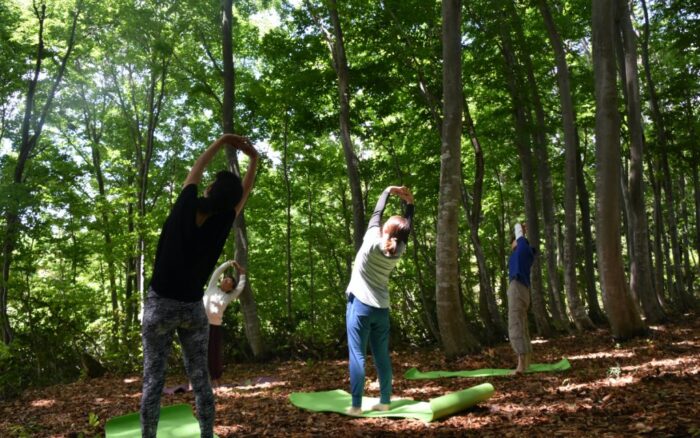 走進森林,免疫力也跟著升級 4 yoga01 1024x640 1 走進森林,免疫力也跟著升級