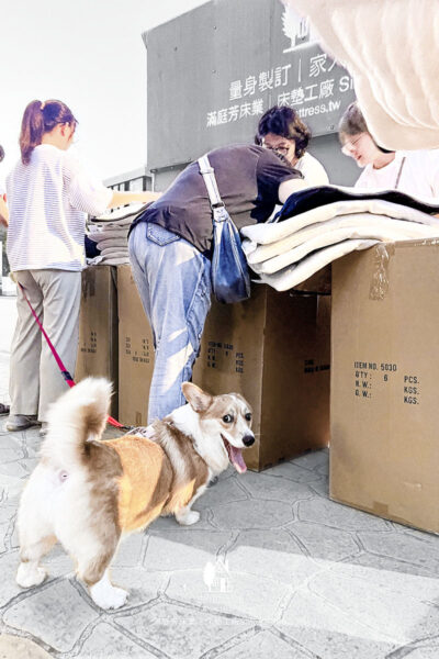 感謝拯救動物的超人們,為花蓮光復災區毛孩送暖 1 直 800x1200 OK 背景改黑白 感謝拯救動物的超人們,為花蓮光復災區毛孩送暖
