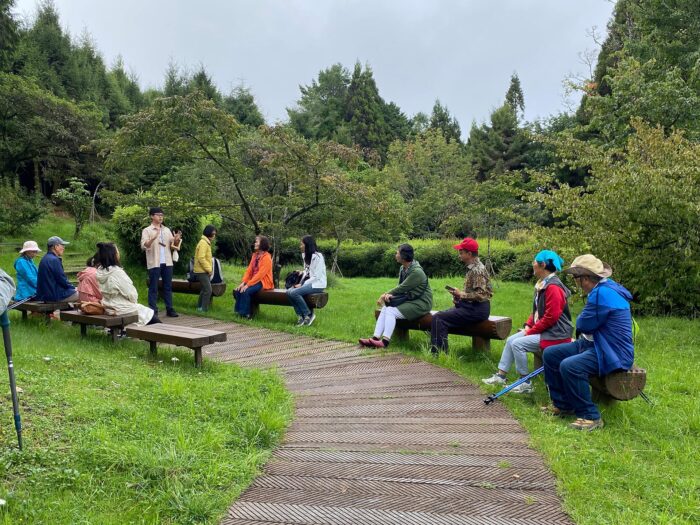 走進森林,免疫力也跟著升級 2 阿里山森林療癒活動照片 走進森林,免疫力也跟著升級