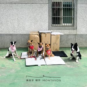 送毛孩墊傳遞溫暖，幫芝麻糊找家｜關懷中途狗狗與領養