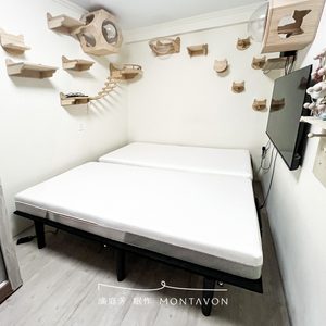 Home 3 滿庭芳追尾運將看台灣|減壓床墊與貓跳台,打造人貓共居空間